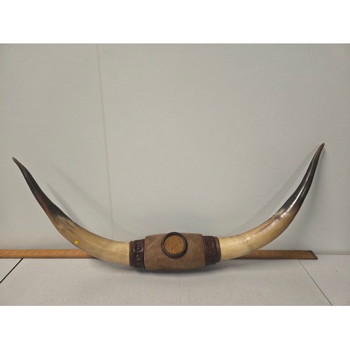 Lot 52        
