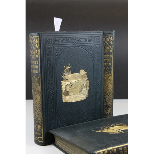 114 - Books - Morris's British Birds, ' A History of British Birds  by Rev F O Morris B.A, Second Edition,... 