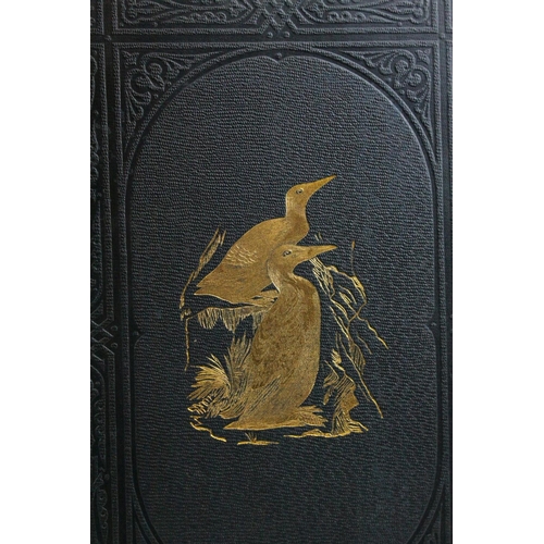 114 - Books - Morris's British Birds, ' A History of British Birds  by Rev F O Morris B.A, Second Edition,... 