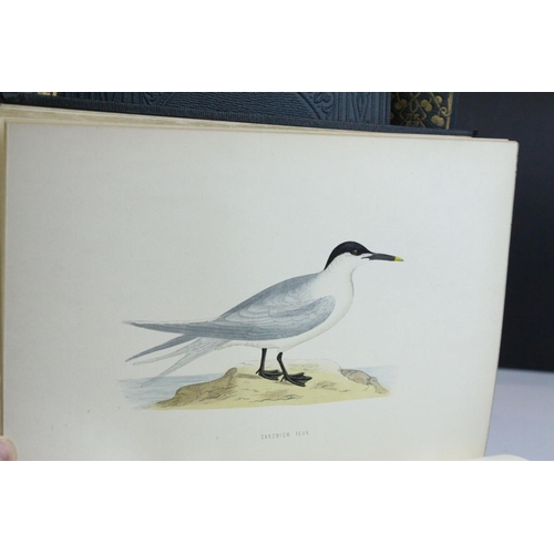 114 - Books - Morris's British Birds, ' A History of British Birds  by Rev F O Morris B.A, Second Edition,... 