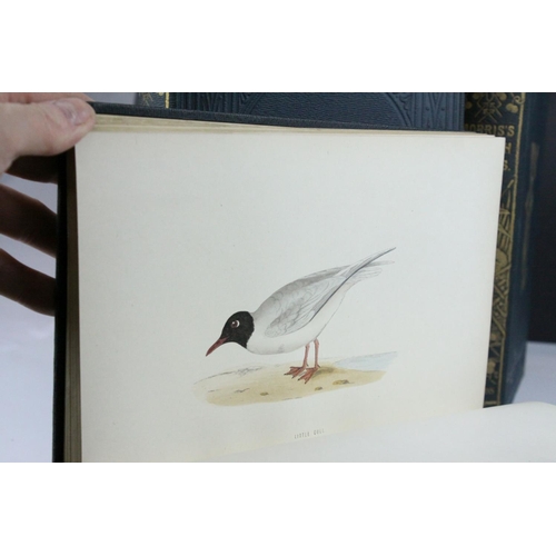 114 - Books - Morris's British Birds, ' A History of British Birds  by Rev F O Morris B.A, Second Edition,... 