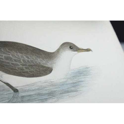 114 - Books - Morris's British Birds, ' A History of British Birds  by Rev F O Morris B.A, Second Edition,... 