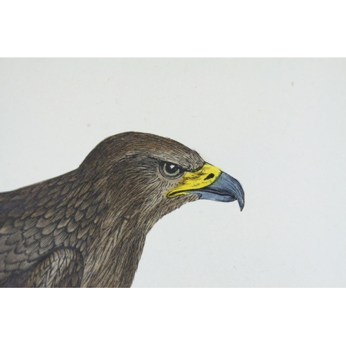 114 - Books - Morris's British Birds, ' A History of British Birds  by Rev F O Morris B.A, Second Edition,... 