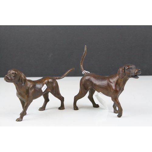 85 - Two bronze sculptured hunting hounds/dogs