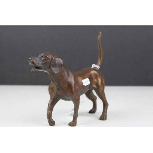 85 - Two bronze sculptured hunting hounds/dogs