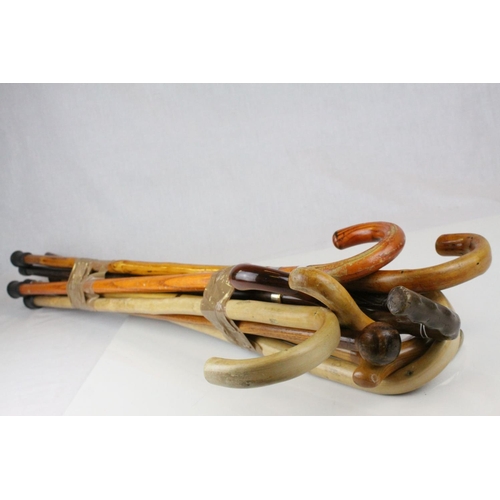 Lot 79        