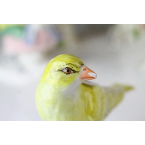 131 - Pair of Chelsea Porcelain Parakeets with Gold Anchor marks, 20cms high, Two Crown Staffordshire Bird... 