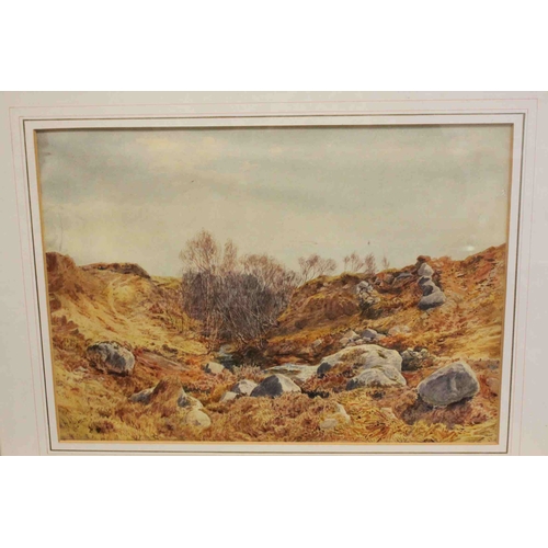 40 - Herbert Moxon Cook (1844 - 1928), 19th century Watercolour ' White Water Burn, Arran ' signed and da... 