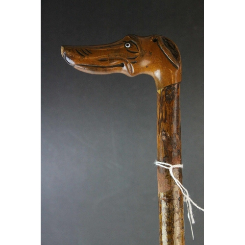 82 - Late 19th / Early 20th century Walking Stick with a Boxwood Handle carved in the form of a Dog with ... 