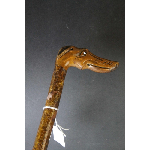 82 - Late 19th / Early 20th century Walking Stick with a Boxwood Handle carved in the form of a Dog with ... 