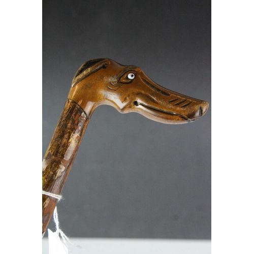 82 - Late 19th / Early 20th century Walking Stick with a Boxwood Handle carved in the form of a Dog with ... 