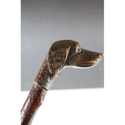 83 - Late 19th / Early 20th century Walking Stick, the wooden handle carved in the form of a Dog