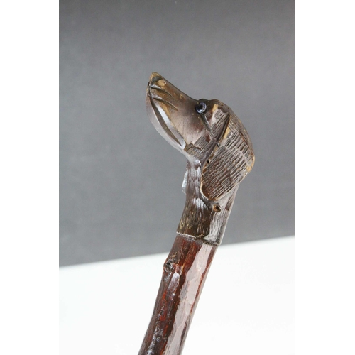 83 - Late 19th / Early 20th century Walking Stick, the wooden handle carved in the form of a Dog