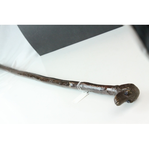 83 - Late 19th / Early 20th century Walking Stick, the wooden handle carved in the form of a Dog