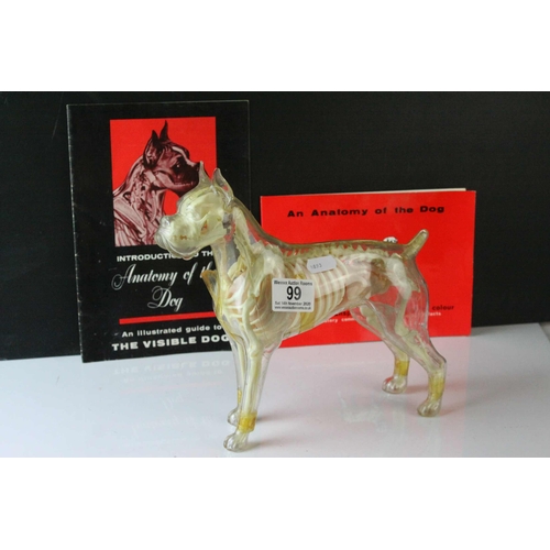 99 - American ' Renewal Products Inc. ' Model showing the Anatomy of the Dog together with an Illustrated... 