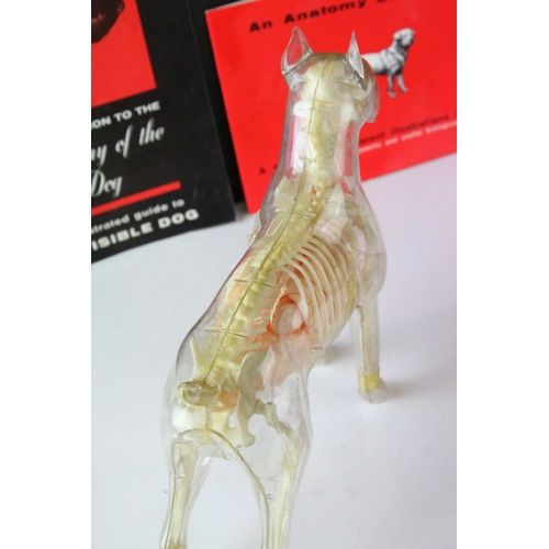 99 - American ' Renewal Products Inc. ' Model showing the Anatomy of the Dog together with an Illustrated... 