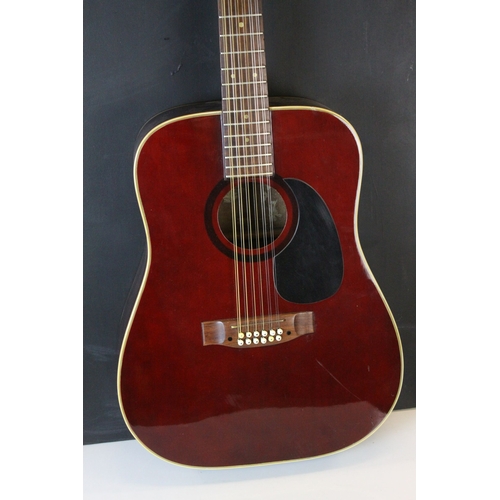 690 - Twelve String Acoustic Guitar