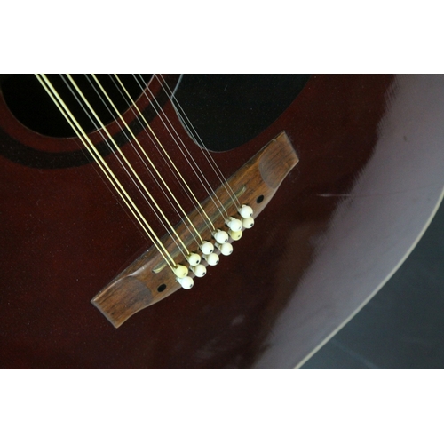 690 - Twelve String Acoustic Guitar