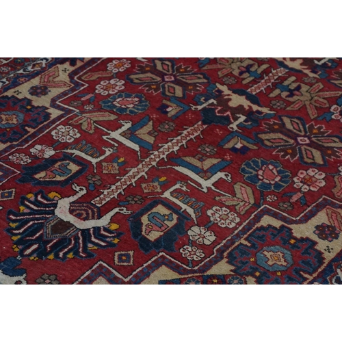 889 - Eastern Wool Red Ground Rug with stylised pattern, 330cms x 170cms