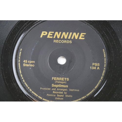 323 - PUNK - SEPTIMUS - FERRETS / DO YOU WANNA TOUCH MY SAFETY PIN (1977, UK 1ST PRESSING, PENNINE RECORDS... 