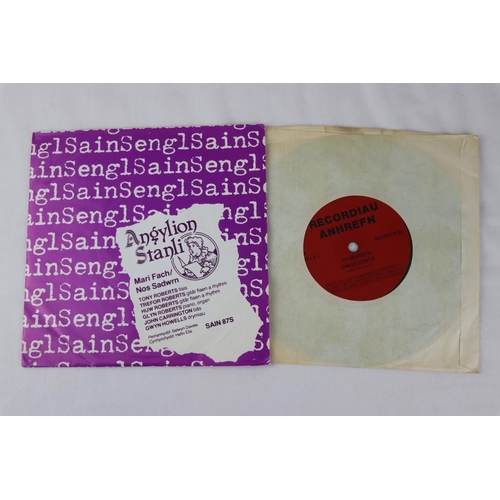 386 - WELSH PUNK - 2 RARE UK WELSH PUNK SINGLES. 1. ANGYLION STANLI - MARI FACH (1981, UK 1ST PRESSING, SA... 