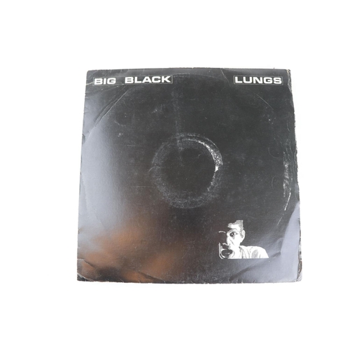 411 - PUNK / POST PUNK / NEW WAVE - 5 US PUNK / POST PUNK / NEW WAVE BAND’S LP ALBUMS.  1. BIG BLACK - LUN... 