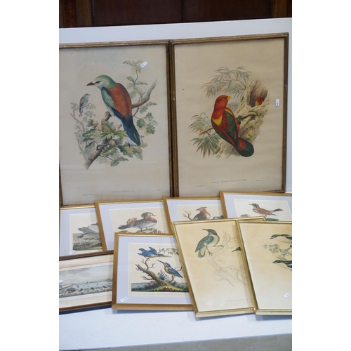 124 - After George Edwards, Set of Five Ornithological / Bird Coloured Engravings published by J Wilkes, e... 