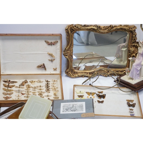 144 - Two wooden cased set of moths and butterflies gilt mirror etc.