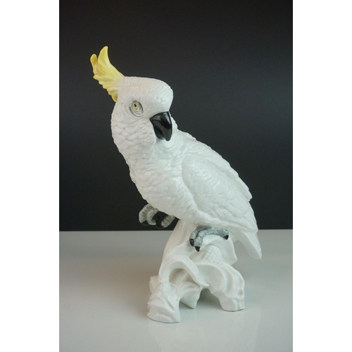 18 - Crown Staffordshire model of a Cockatoo by J T Jones and marked 