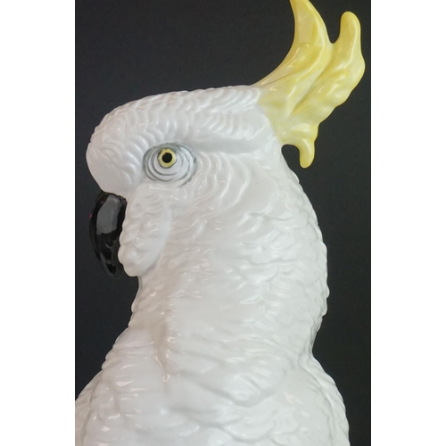 18 - Crown Staffordshire model of a Cockatoo by J T Jones and marked 