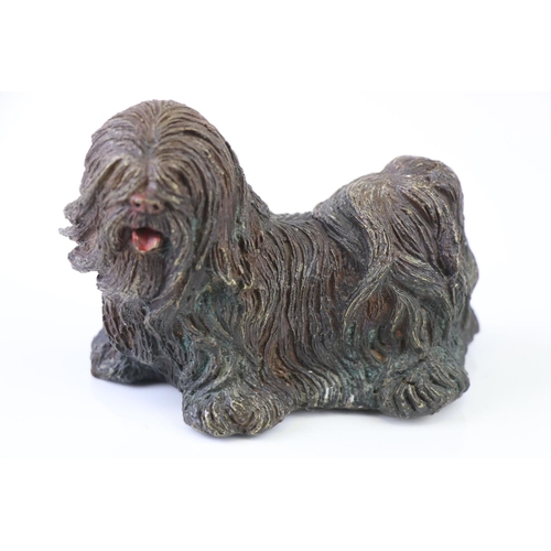 204 - Cold Painted Bronze Figure of a Shitzu Dog