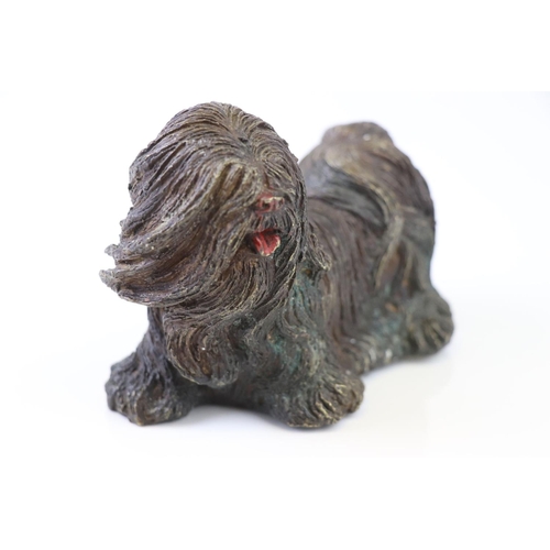 204 - Cold Painted Bronze Figure of a Shitzu Dog