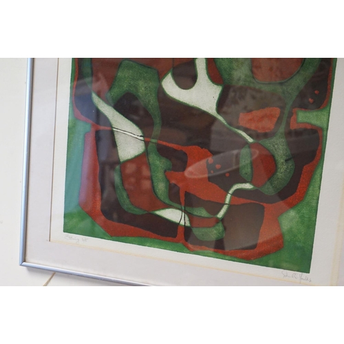 50 - A contemporary framed and glazed modernist limited edition etching  no 3/5 indistinct signature.