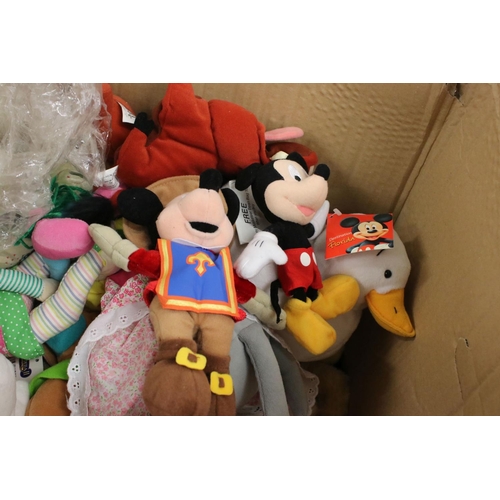 557 - Large collection of various contemporary soft toys, including various glove puppets (Sooty Sweep etc... 