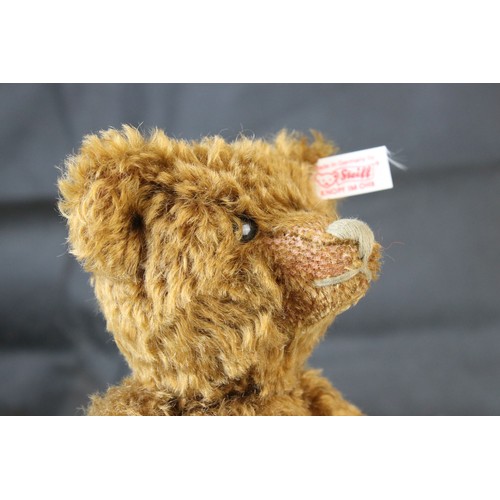 582 - Steiff Classic Teddy Bear, ltd edn, 30cm in height in vg condition with original tags