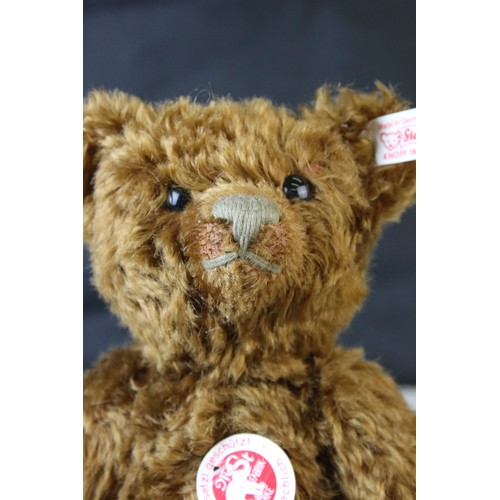 582 - Steiff Classic Teddy Bear, ltd edn, 30cm in height in vg condition with original tags