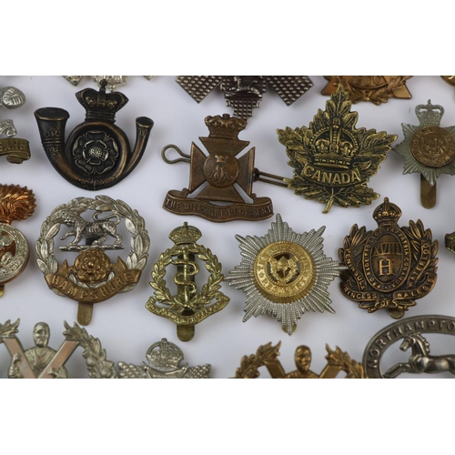 79 - A Collection Of Approx Twenty Five British Military Regimental Cap Badges To Include : The Northampt... 