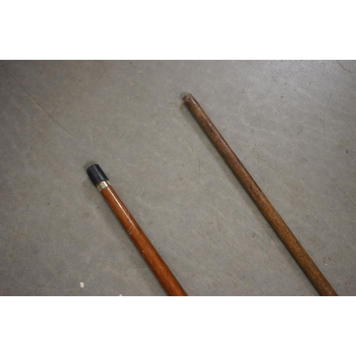 365 - Walking Stick with a Brass Handle in the form of a Horse Head together with another Walking Stick wi... 