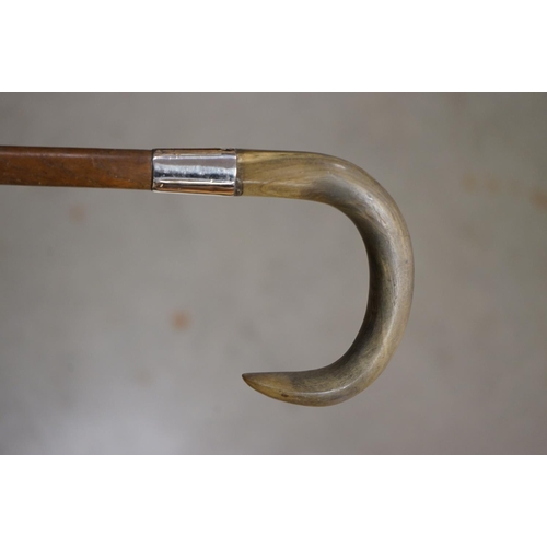365 - Walking Stick with a Brass Handle in the form of a Horse Head together with another Walking Stick wi... 