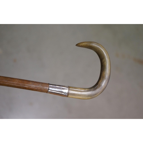 365 - Walking Stick with a Brass Handle in the form of a Horse Head together with another Walking Stick wi... 