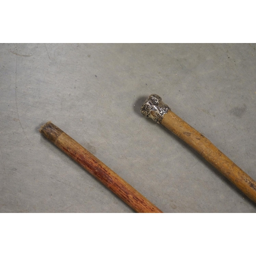 366 - Walking Stick with Brass Handle in the form of a Skull together with a Walking Stick with Antler Han... 