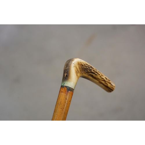 366 - Walking Stick with Brass Handle in the form of a Skull together with a Walking Stick with Antler Han... 