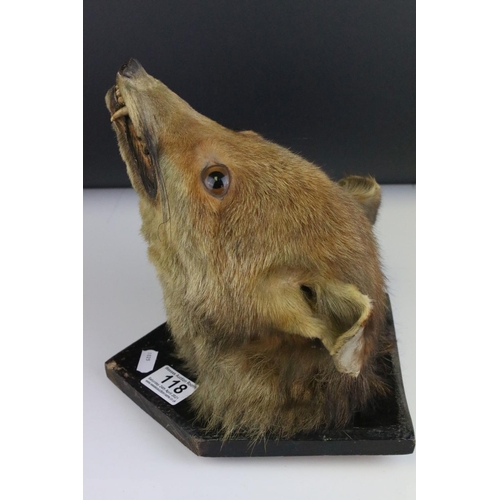 118 - Vintage Taxidermy Fox Head mounted on a Wooden Plinth, 23cms high