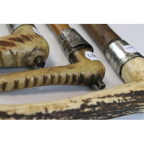 151 - Collection of Four Early 20th Riding / Hunting Crops including Three with Antler Handles and one wit... 