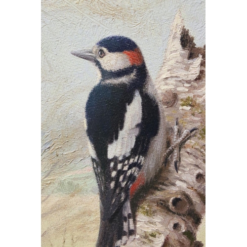 95 - Richard Tratt (b.1953), Oil on Canvas of a Woodpecker on a Branch, 28cms x 38cms, framed