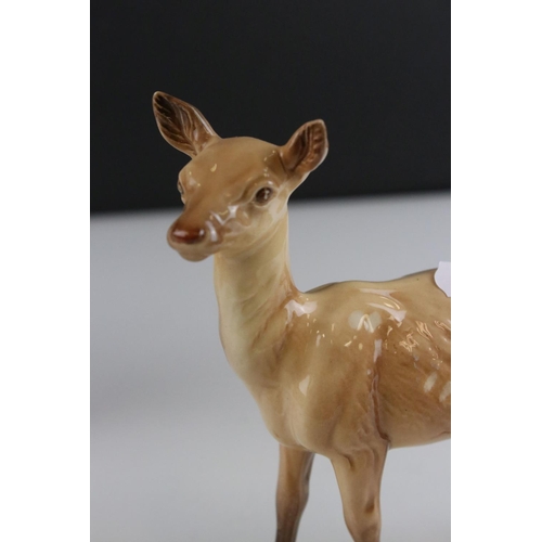 110 - Beswick Stag, standing, model 981 and a Beswick Doe, model 999A