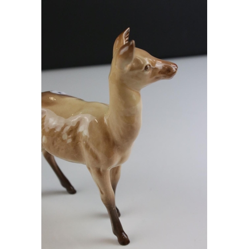 110 - Beswick Stag, standing, model 981 and a Beswick Doe, model 999A