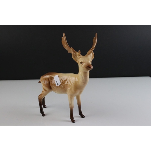 110 - Beswick Stag, standing, model 981 and a Beswick Doe, model 999A