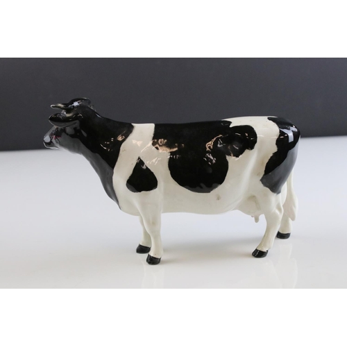 14 - Beswick Friesian Cow ' Claybury Leegwater ' model 1362a together with Beswick Aberdeen Angus Calf, m... 