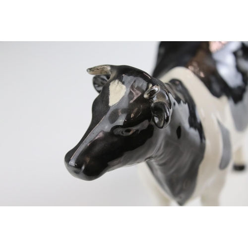 14 - Beswick Friesian Cow ' Claybury Leegwater ' model 1362a together with Beswick Aberdeen Angus Calf, m... 